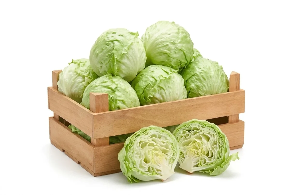 Eissalat, 10er Kiste (regional)