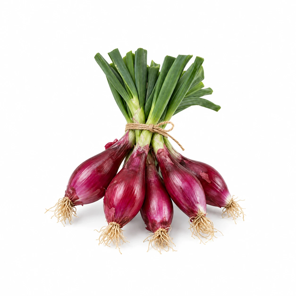 Zwiebel Zopf rot Tropea