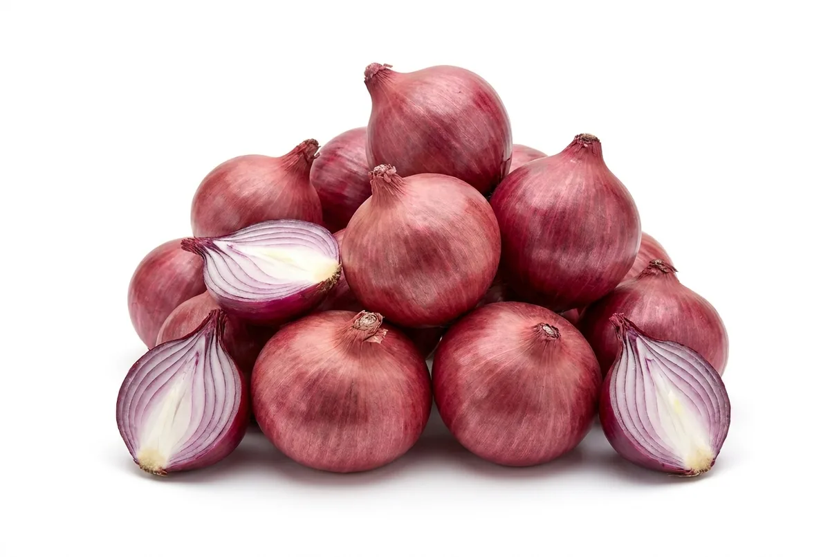Zwiebel Rot, 10kg Sack