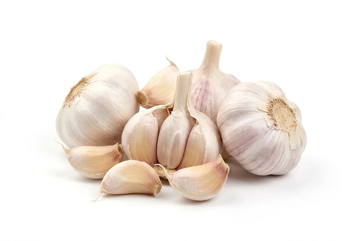 Knoblauch weiß, 6,6kg