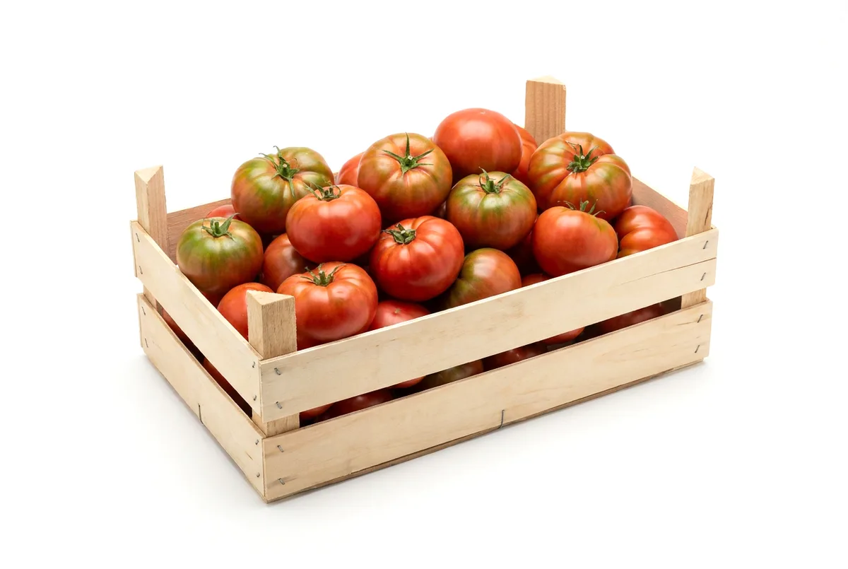 Tomaten Marinda, 5kg Kiste