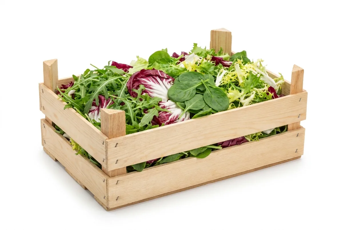 Mixsalat, 9er Kiste