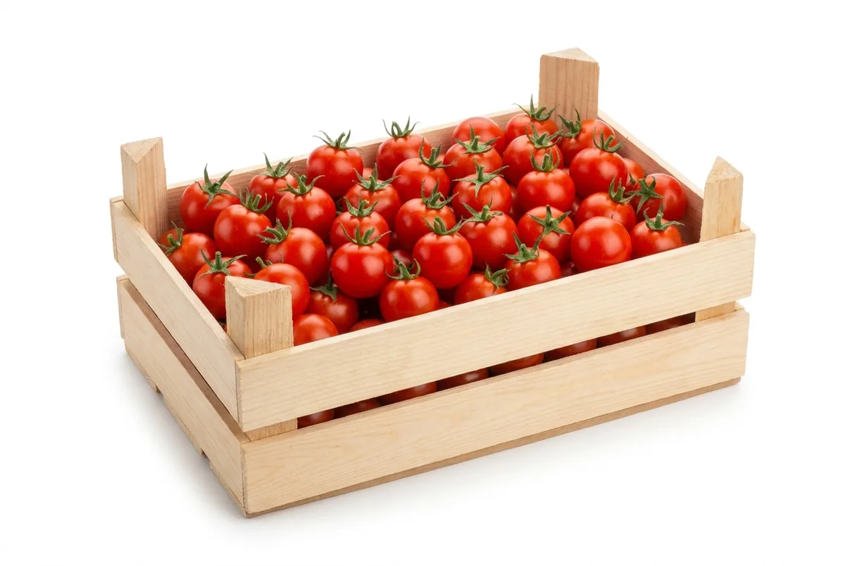 Cherry-Cocktailtomaten, Kiste