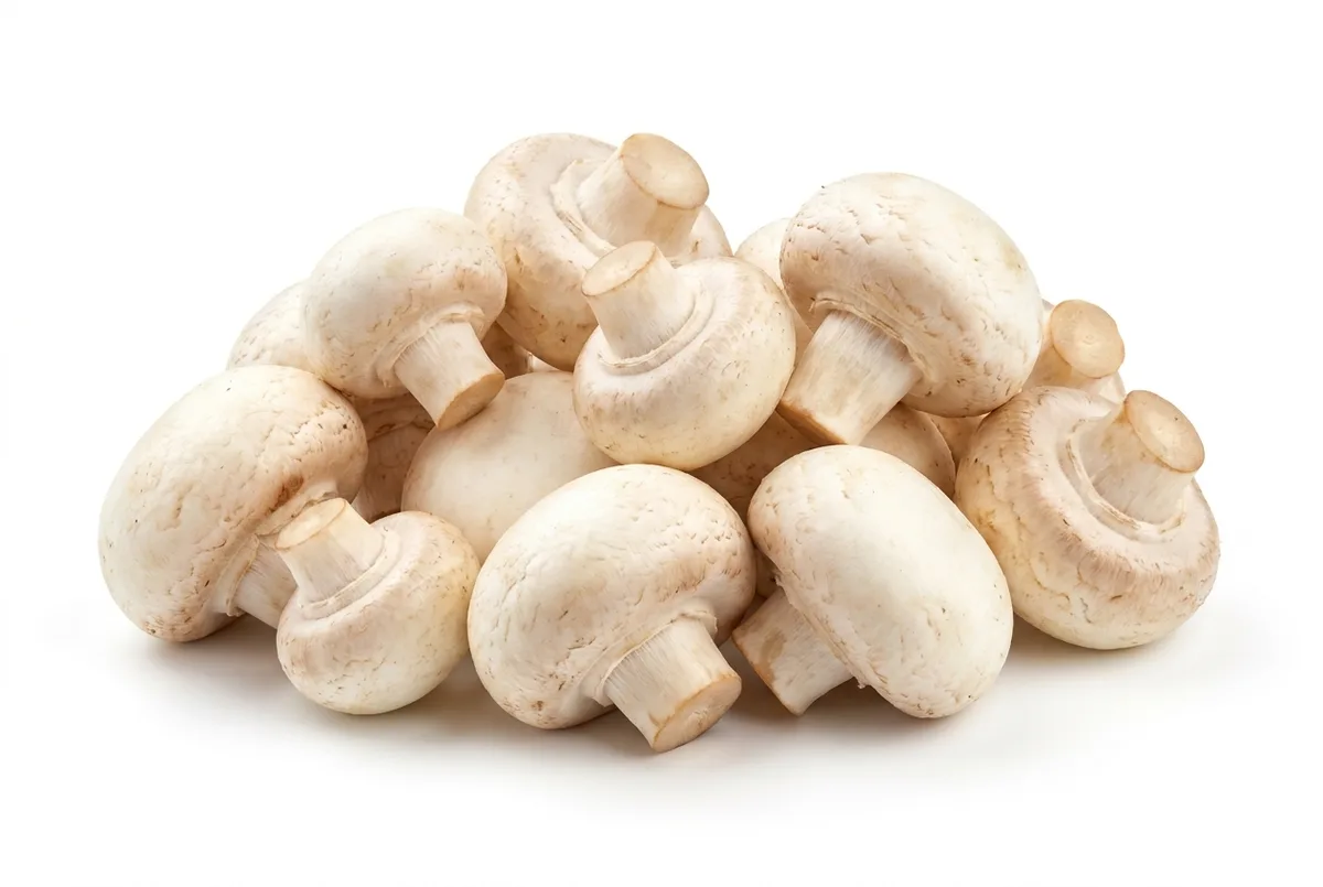 Champignons weiß mittel, 3kg